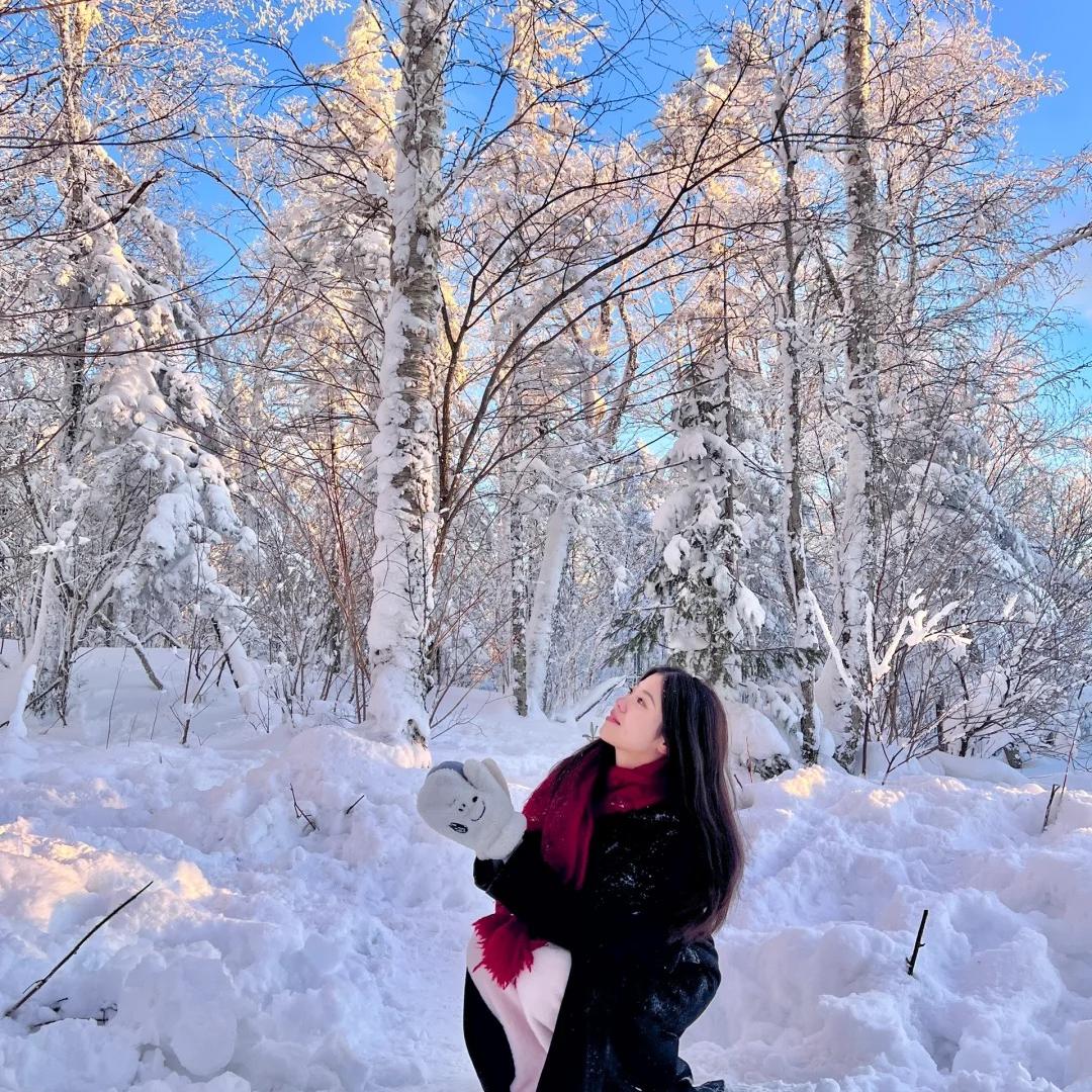 灰灰带你去旅行