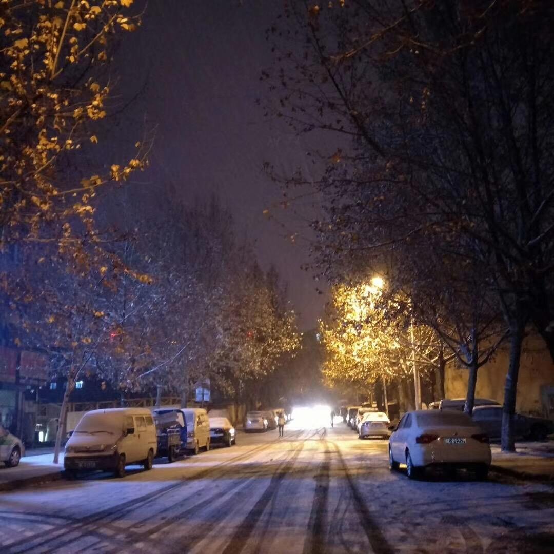 101209440540