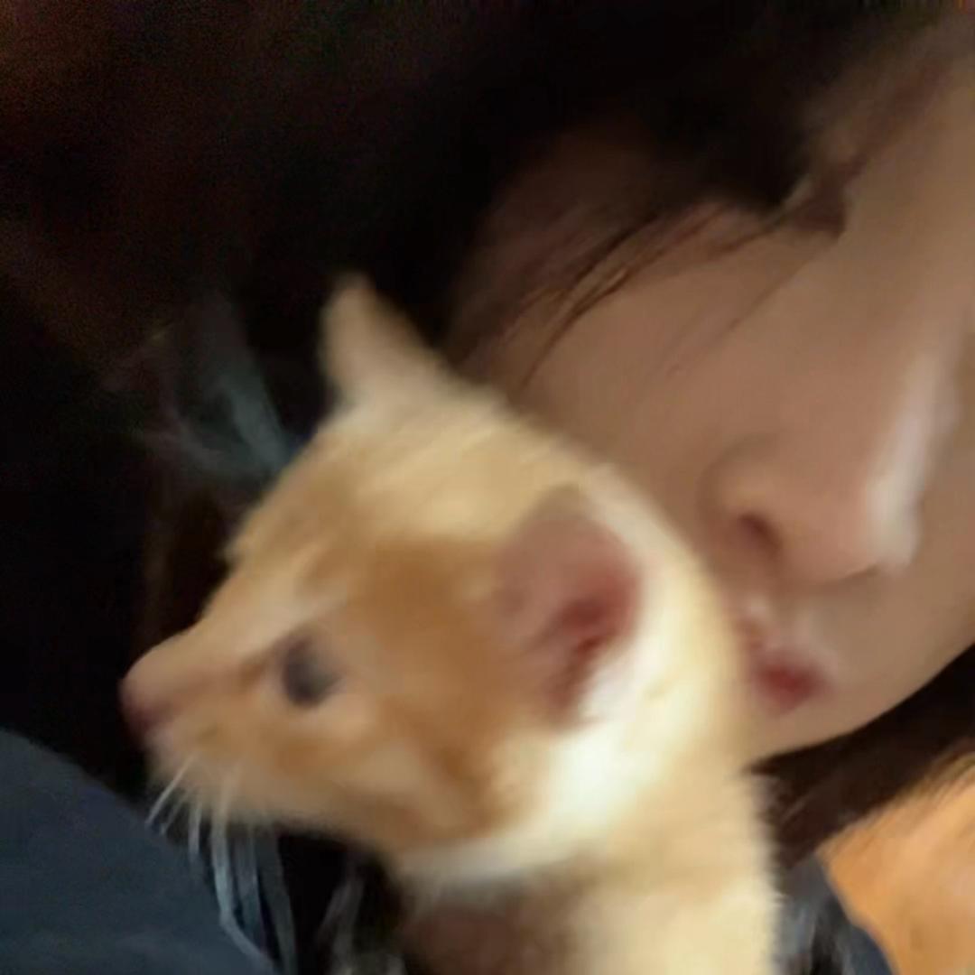 桑登拉姆