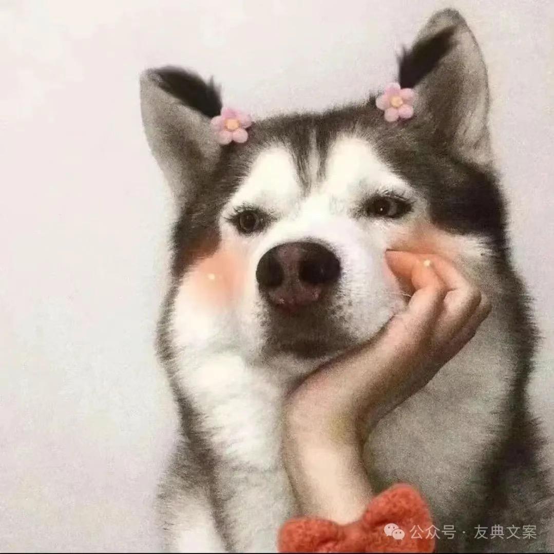 @咩＿