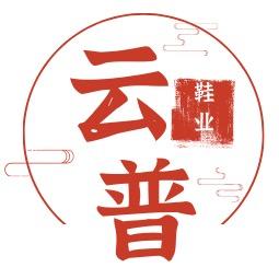 云普绣花鞋