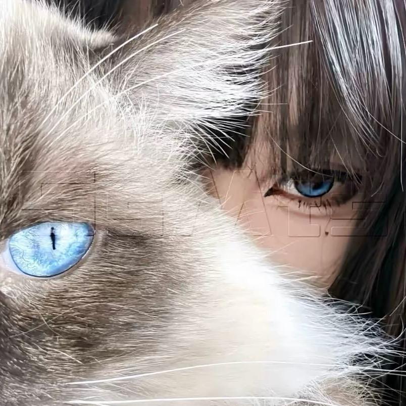 木子🍬