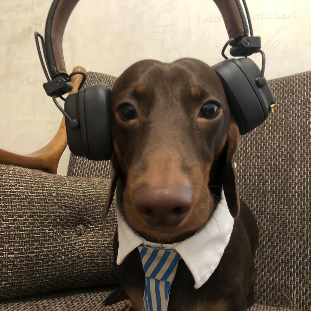 名字太长也不好记