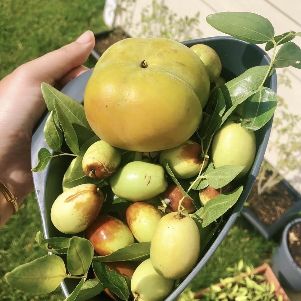 沐庭专营店臻选