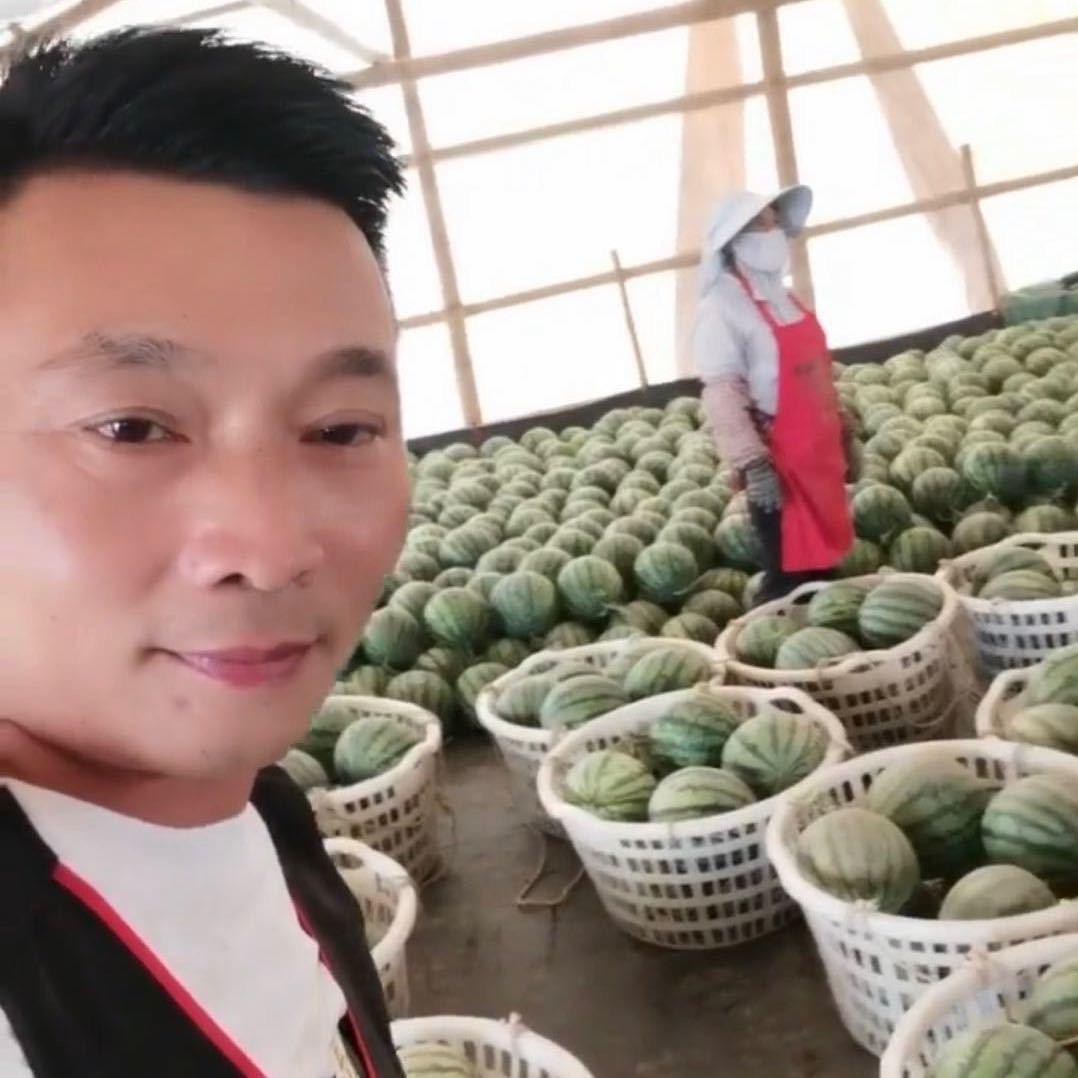 台州老张．大军麒麟
