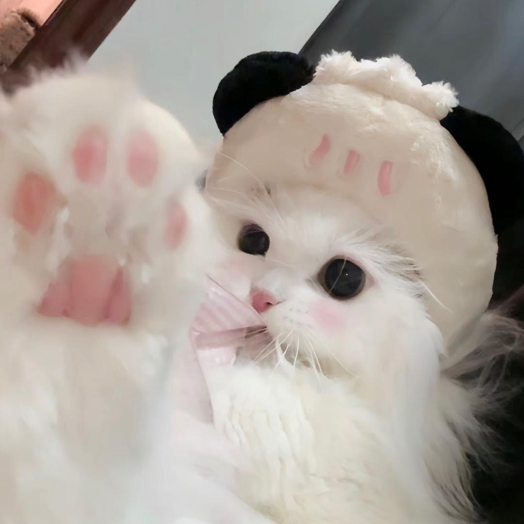 鱼.