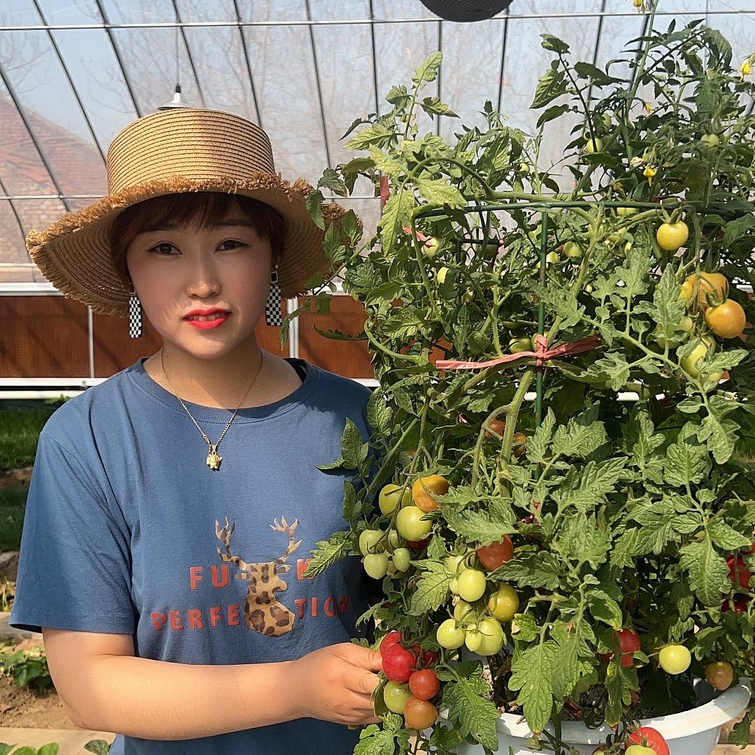 菜满园-小玲种菜【好物在橱窗】