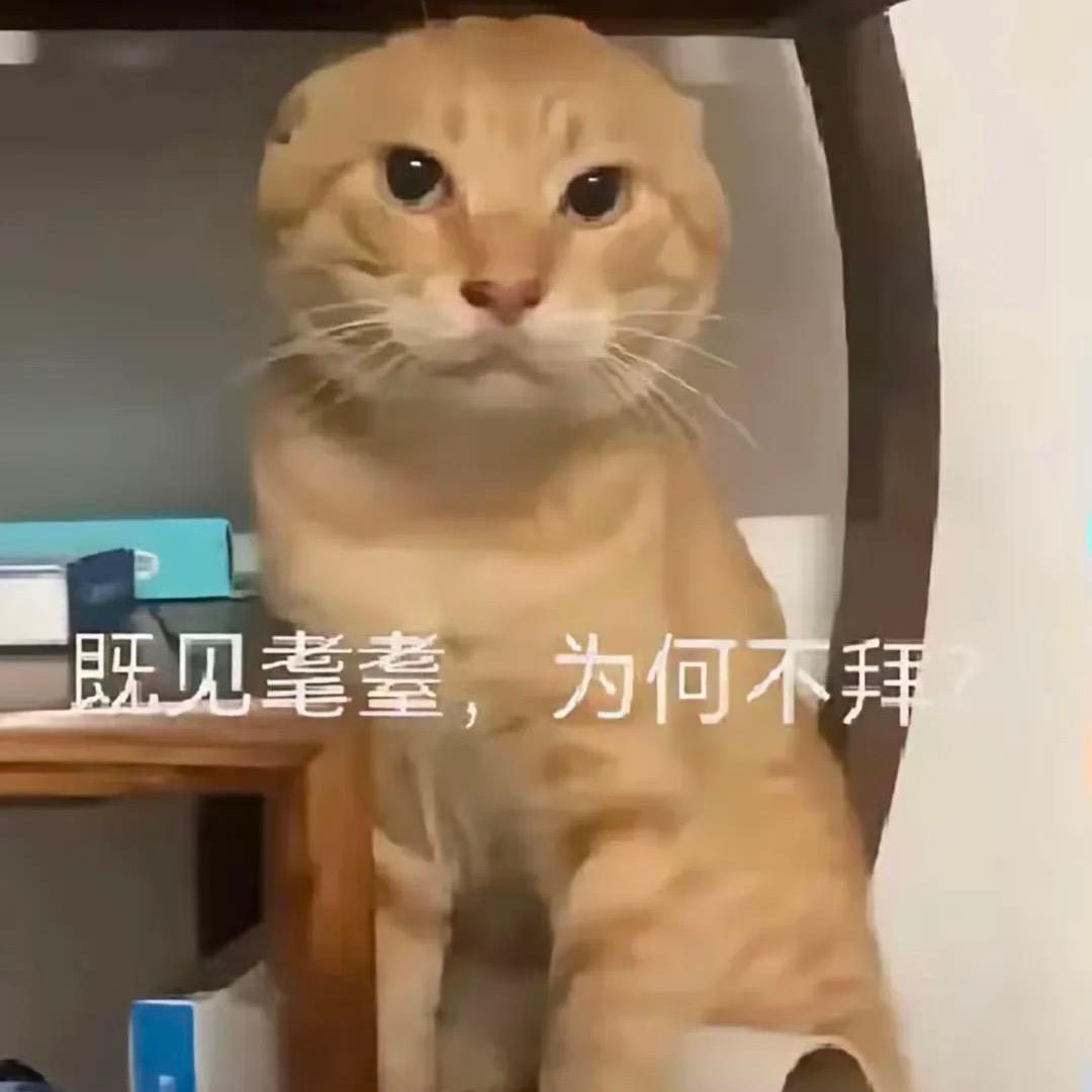 文强了
