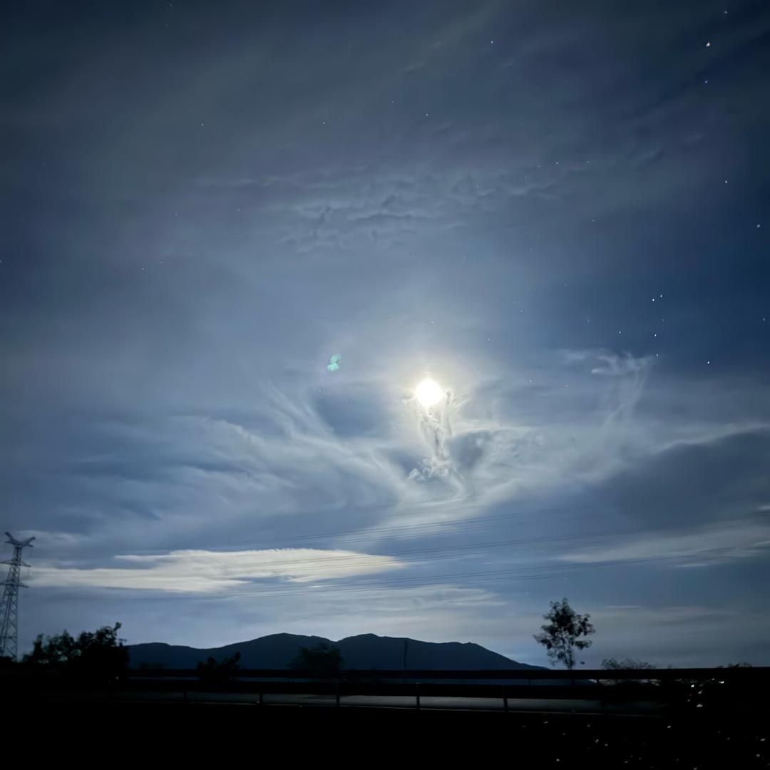 不会写PPT的沸羊羊