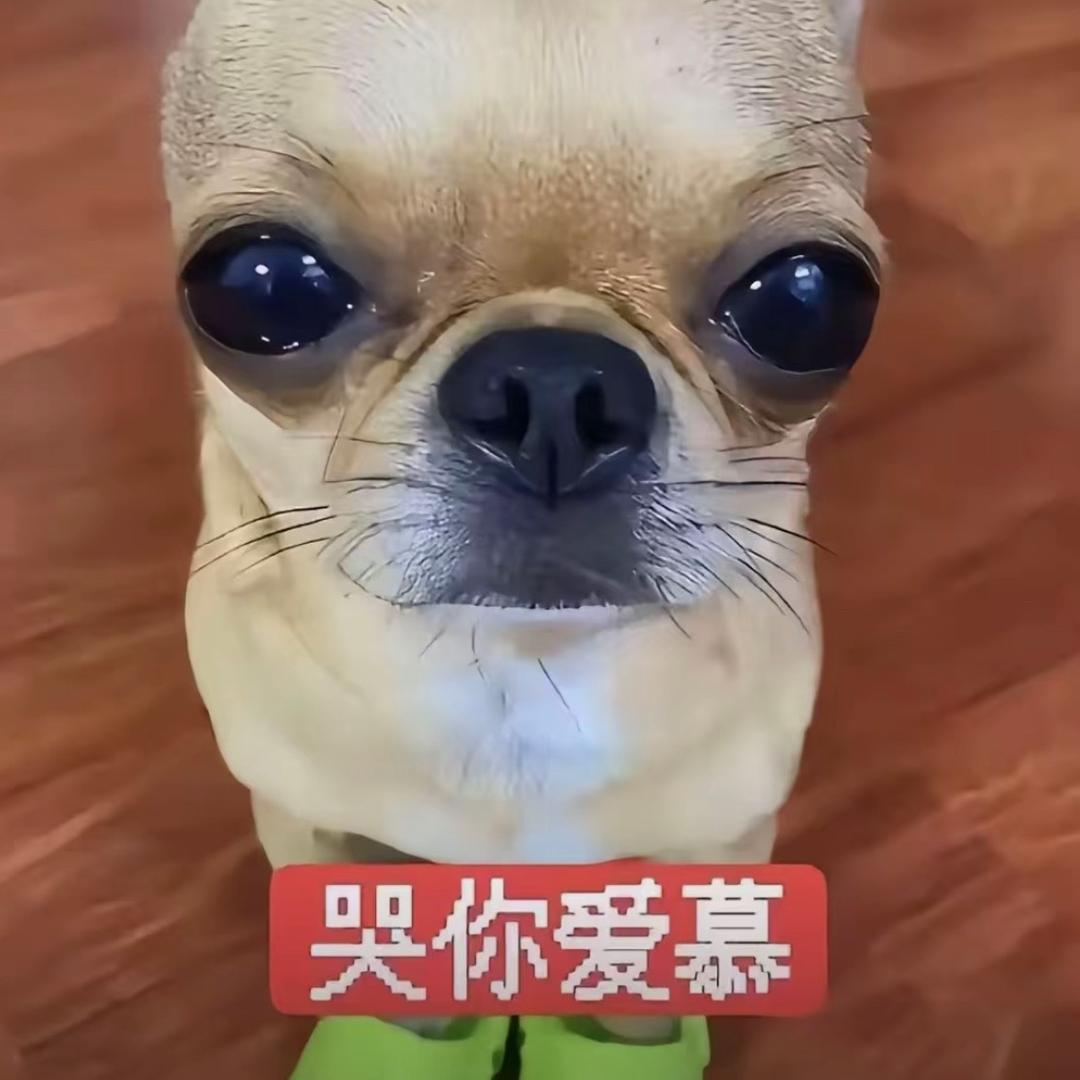 装忧郁被暴打成瓜子脸