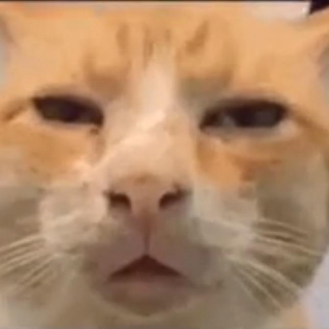 FFf