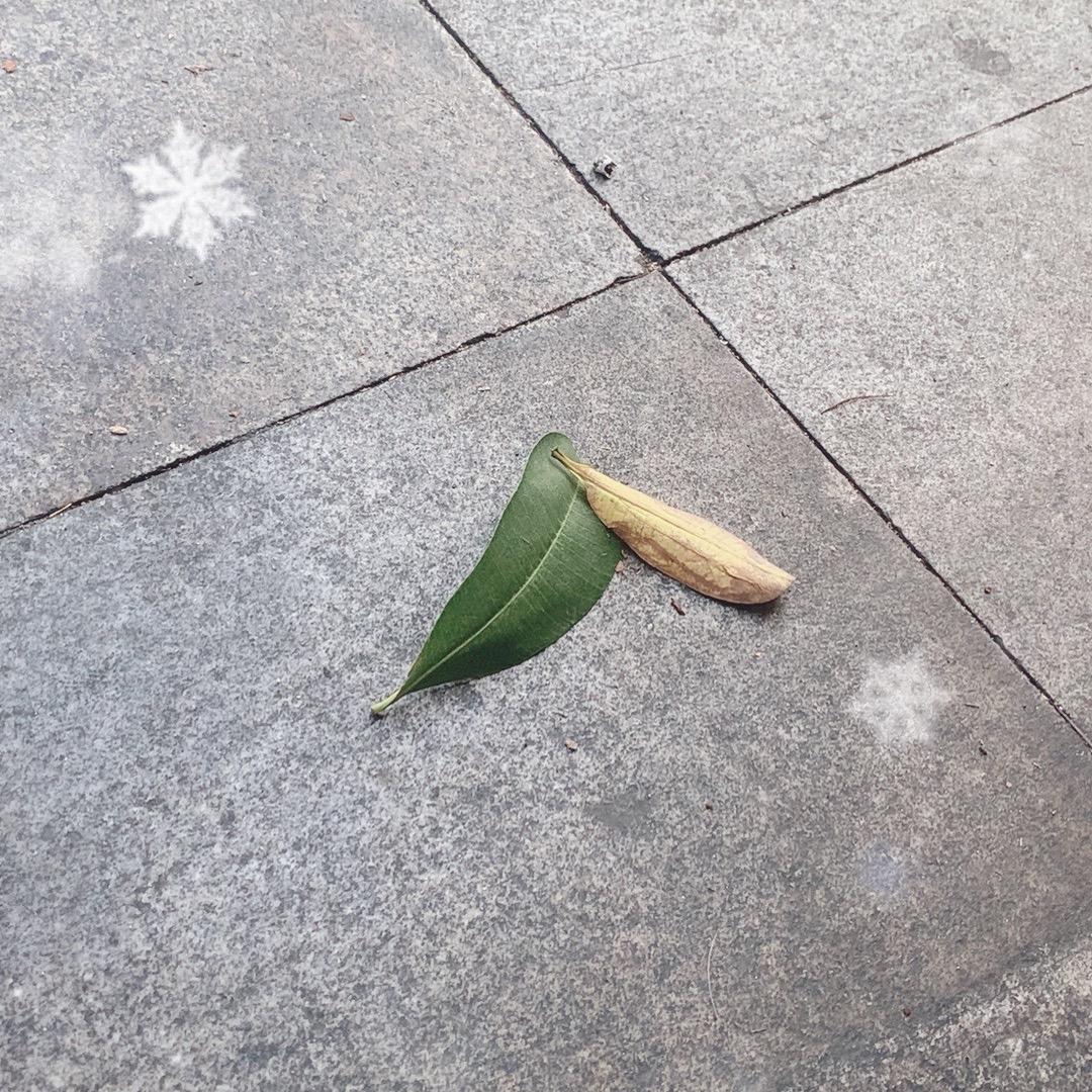 小云南