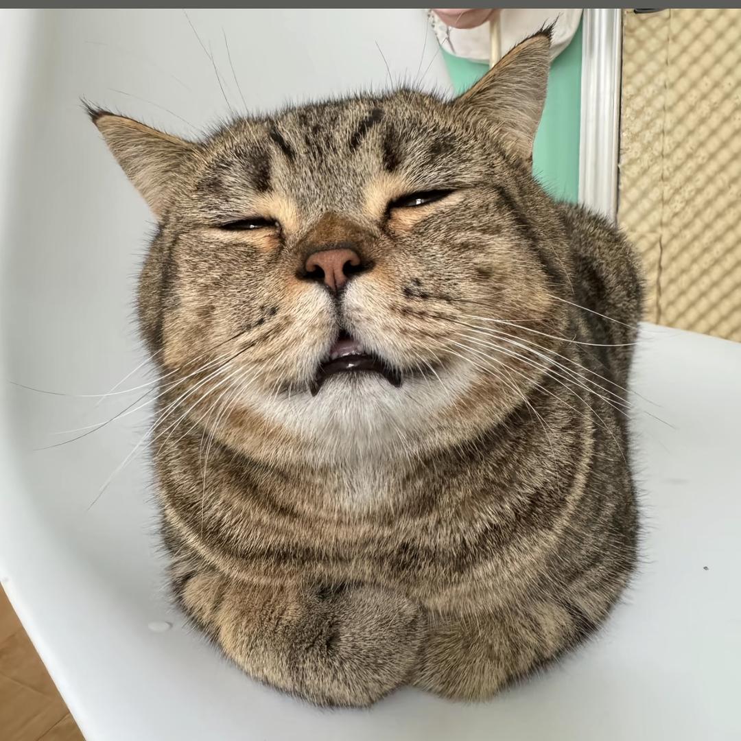 devil
