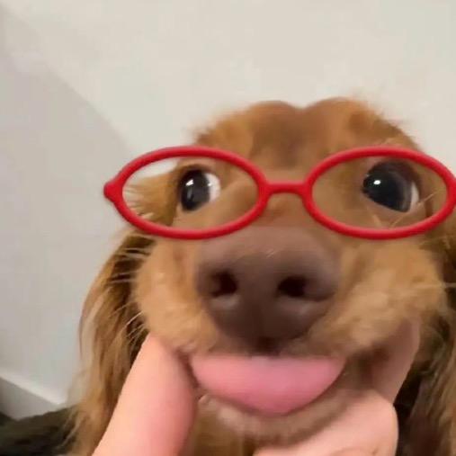 等等小羊