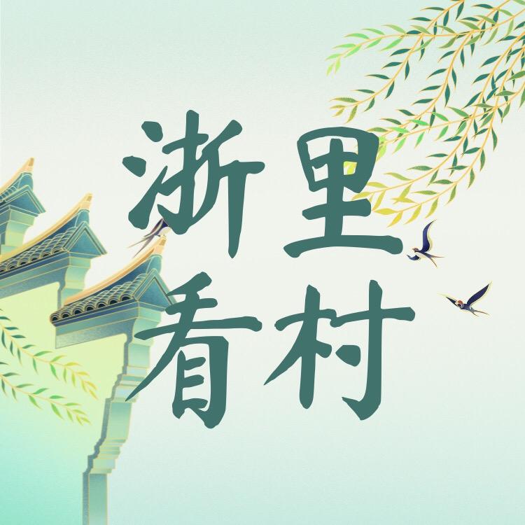 浙里看村
