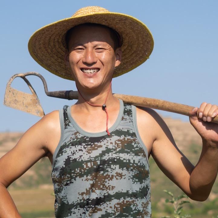 飞哥吃不胖