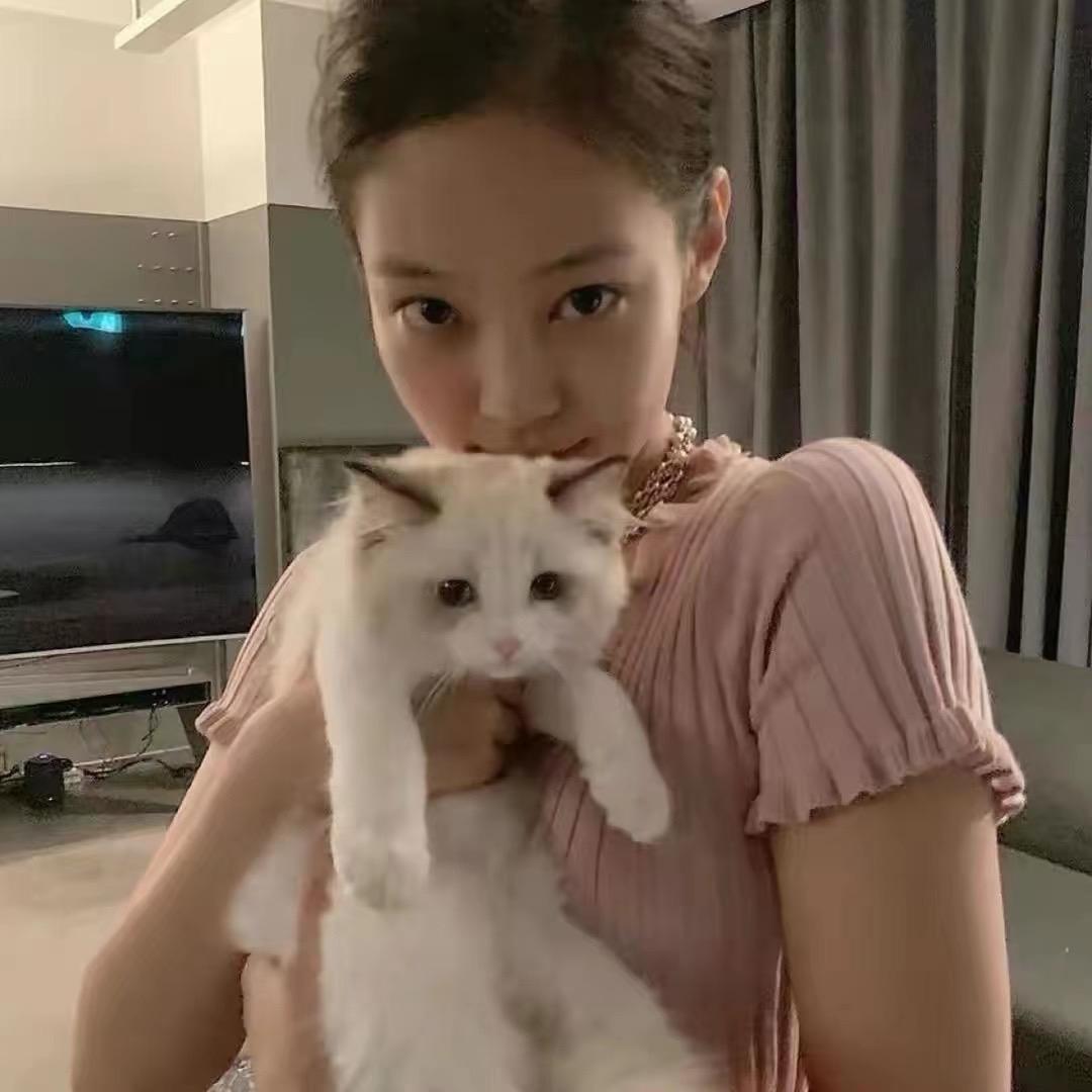 眼镜喵～
