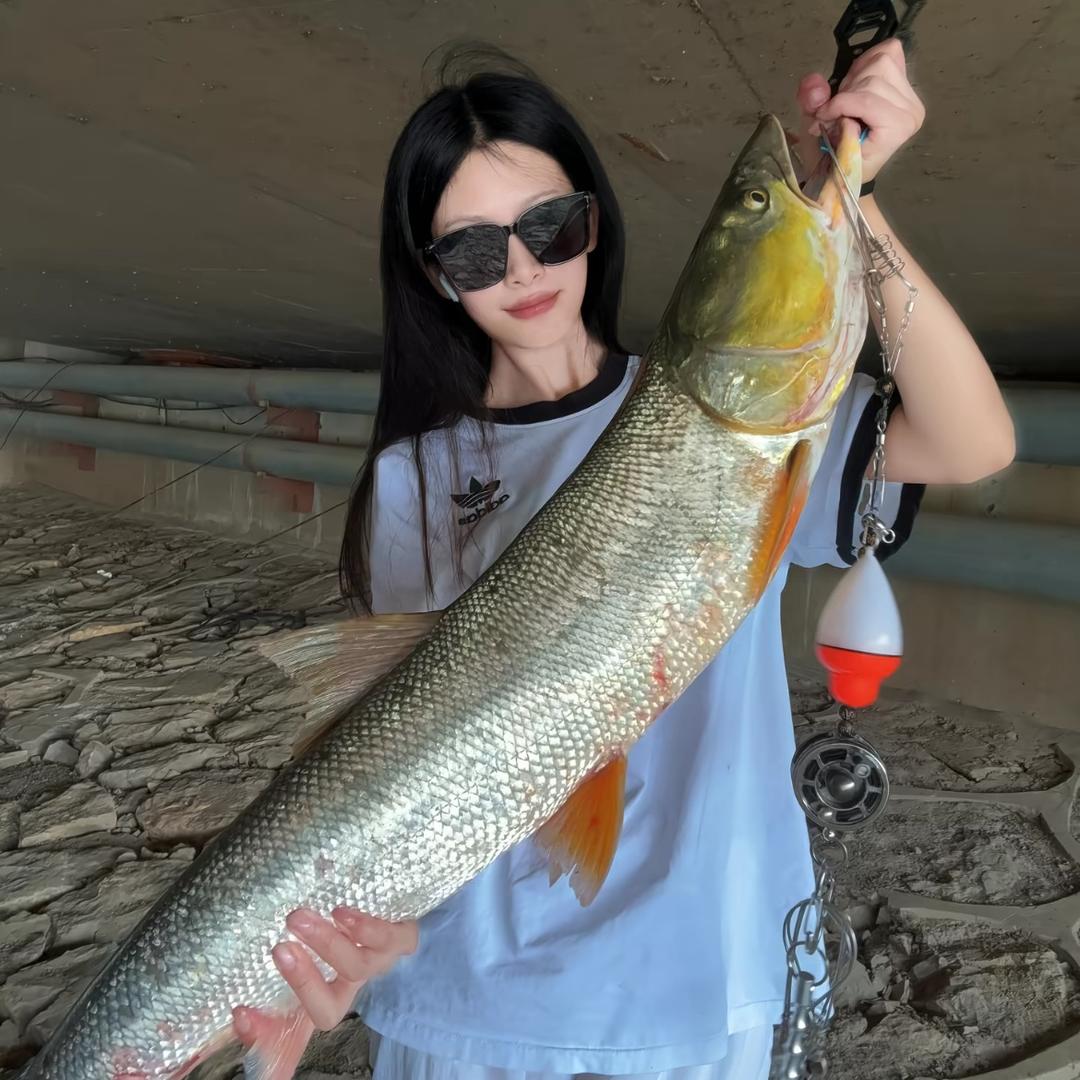 酷爱打龟