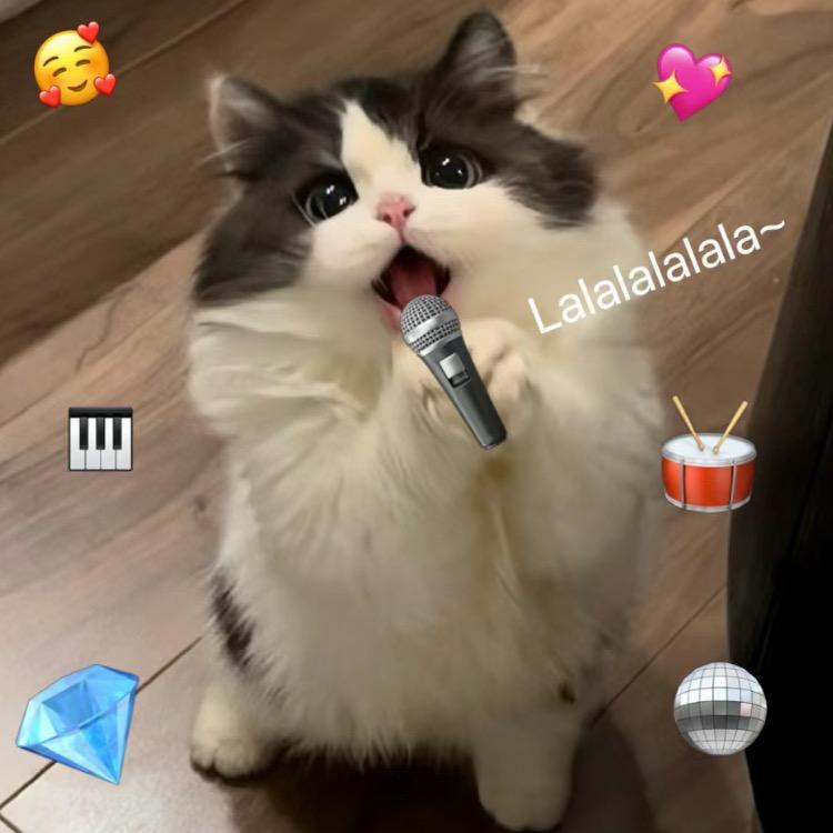 怡怡1ど⁰̷̴͈꒨⁰̷̴͈ う♡