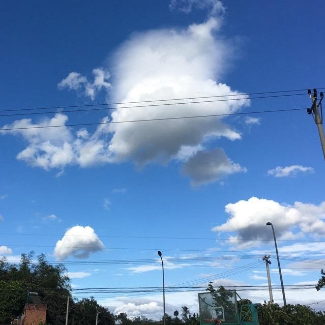 重生之我在电信混日子