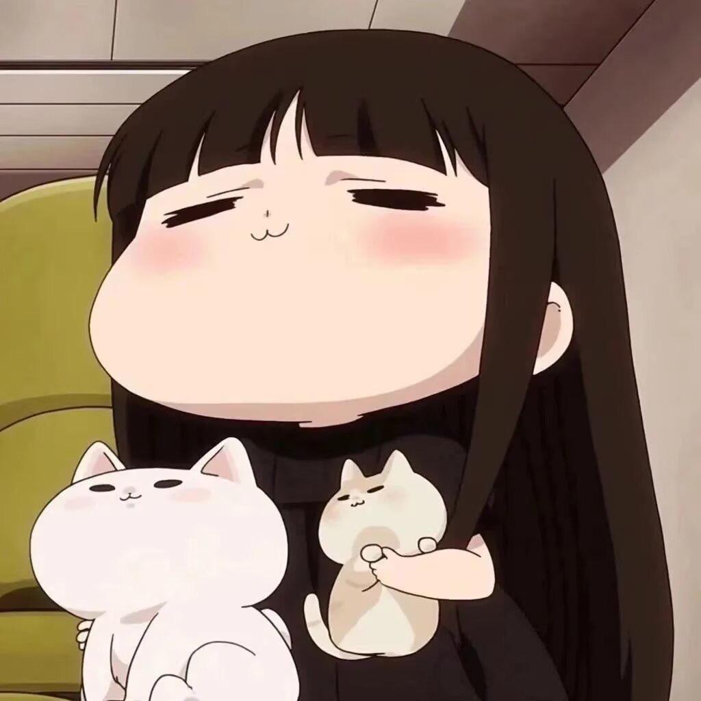 兔兔