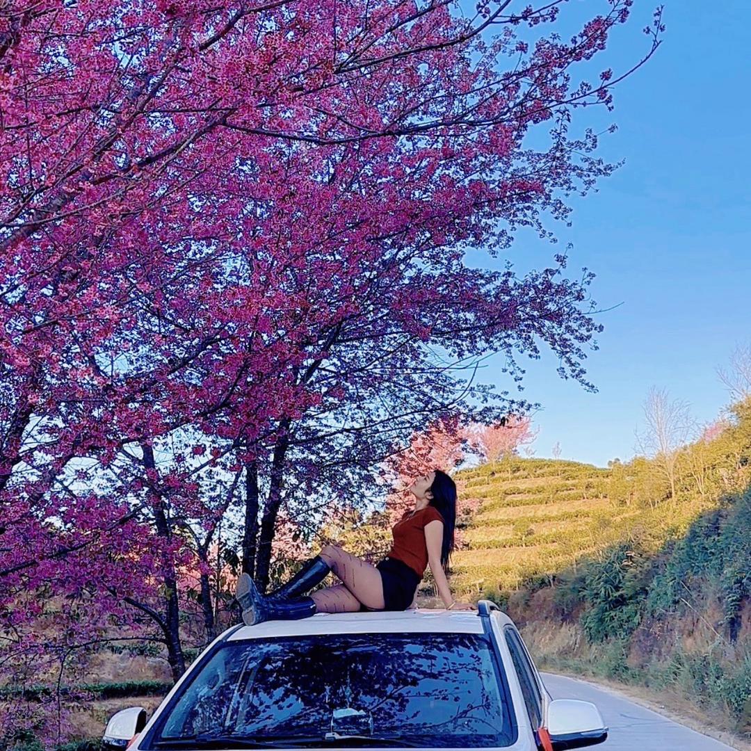 @拉猪妹、李憨憨