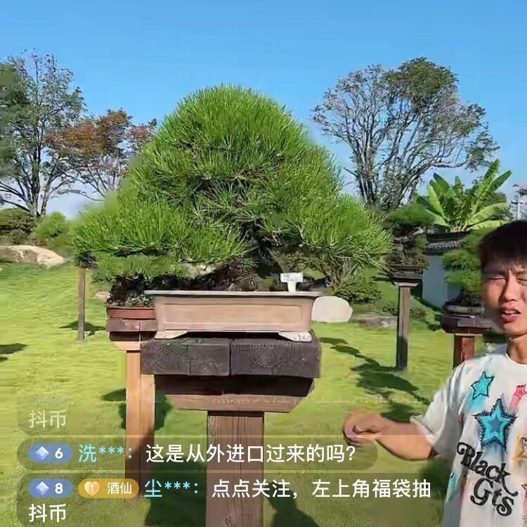 强哥不定时开播