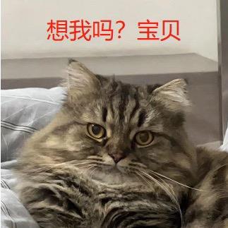 十一点半皮蛋