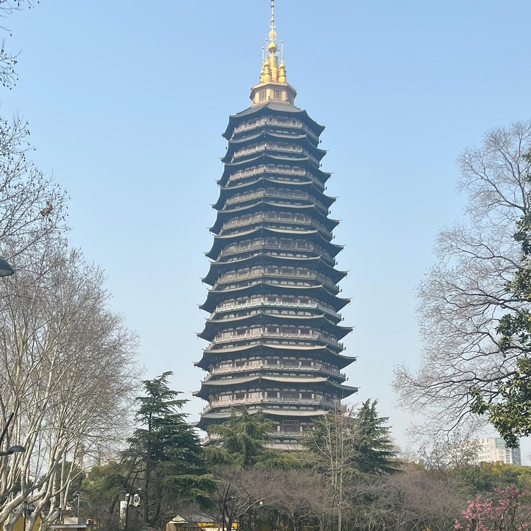 小李子在此