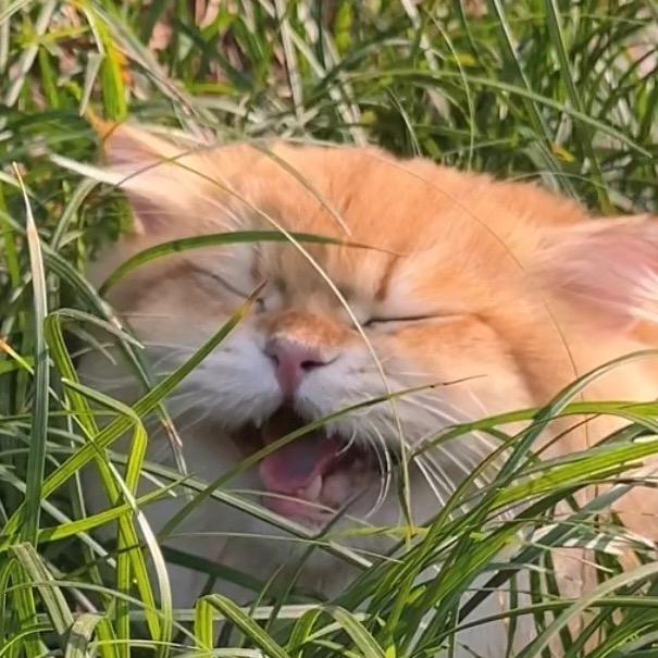 又又在干嘛