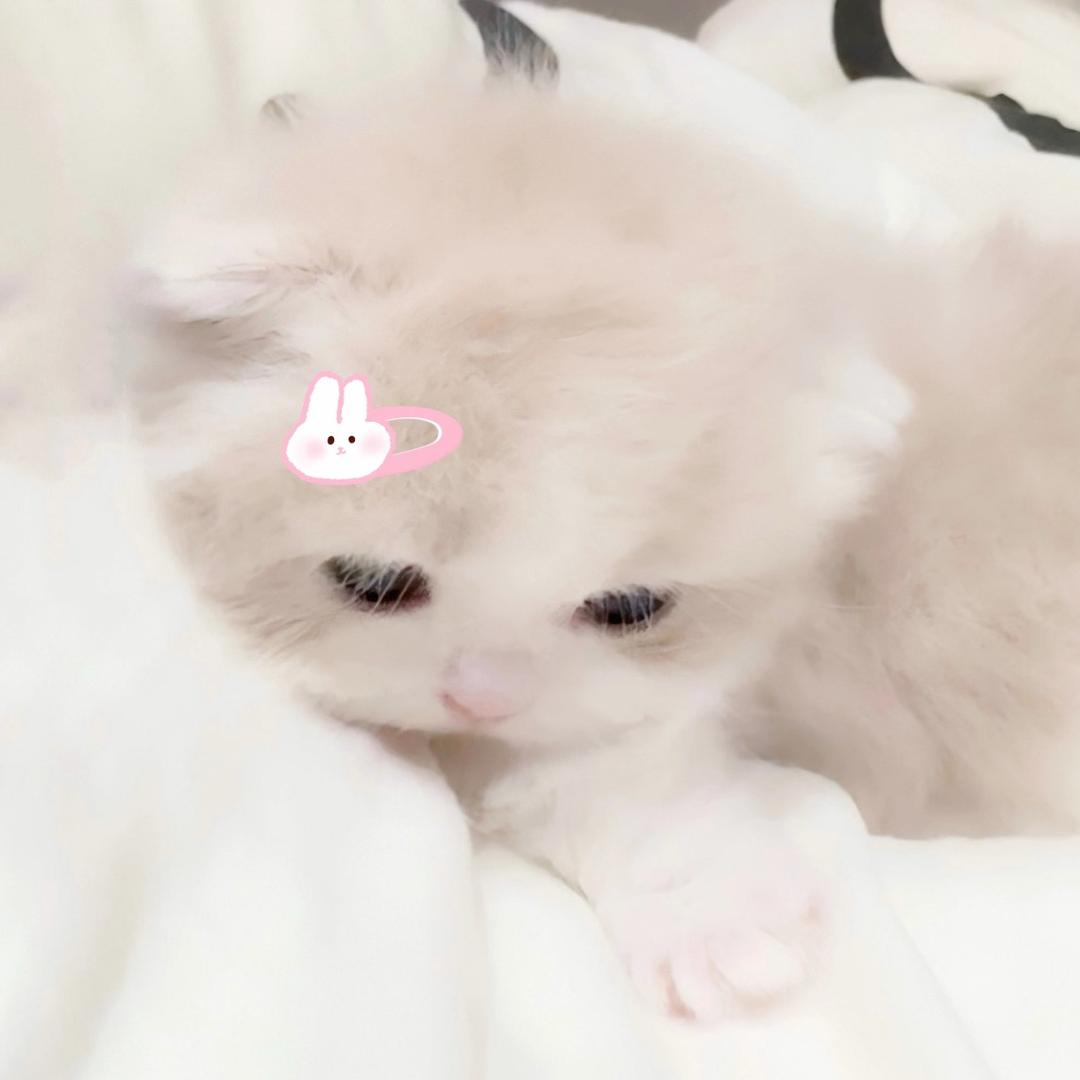 我睡晕过去了