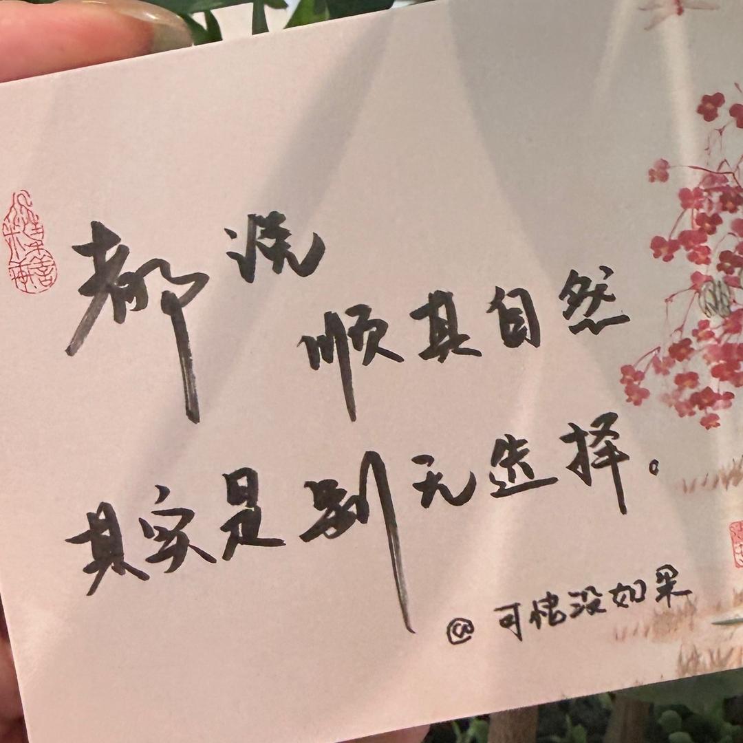 可惜没如果