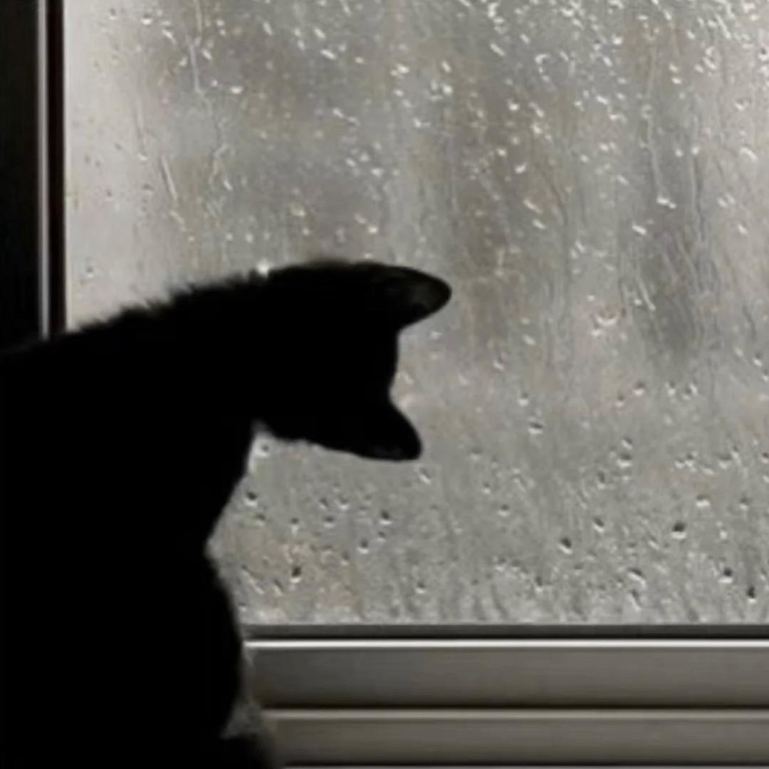 不蒋道理＼(`Δ’)／