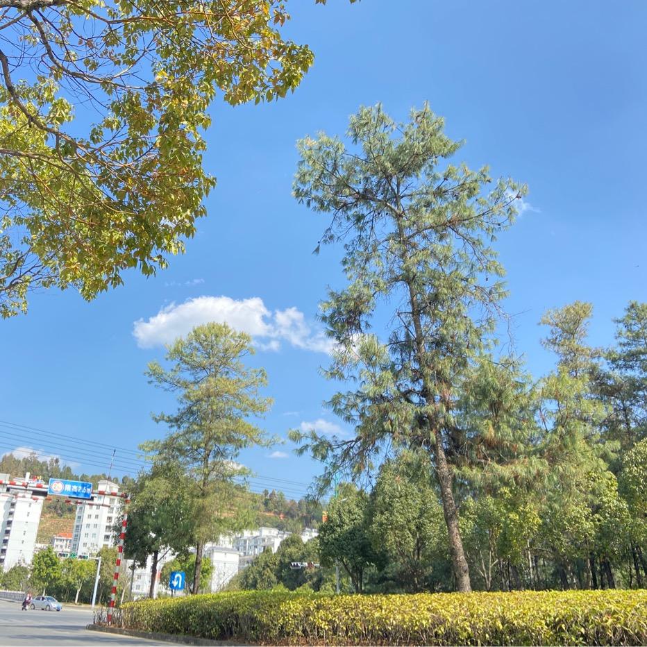 解压小熊🌼
