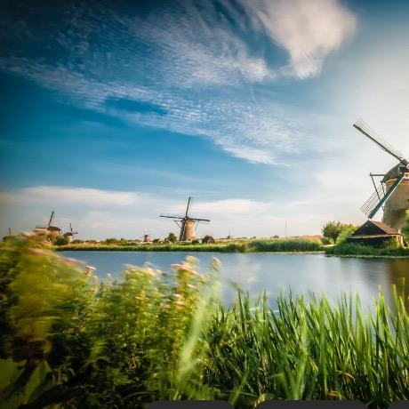 芹昌商行芹昌逸飞直播号