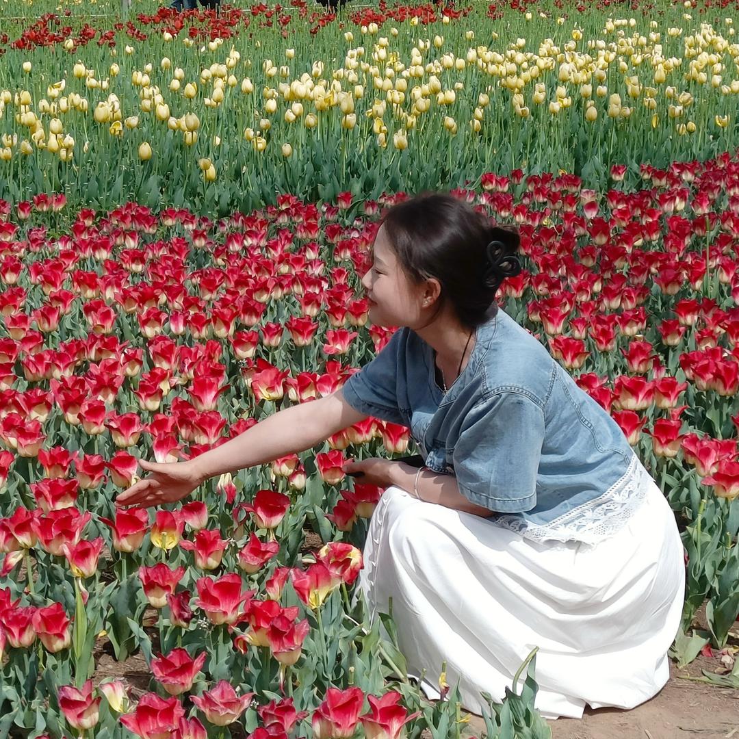 Tang莉莉.