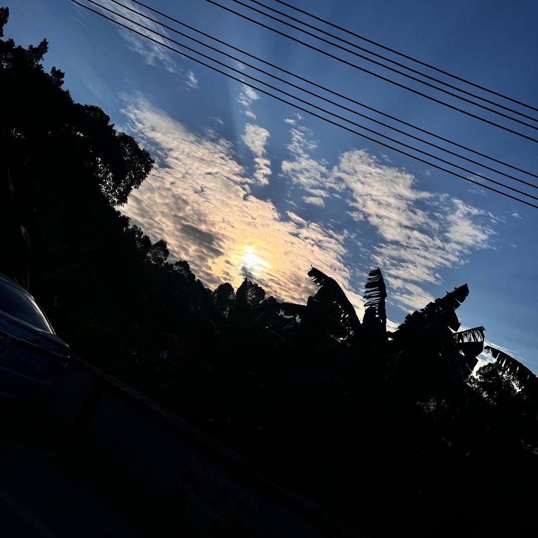 沉默