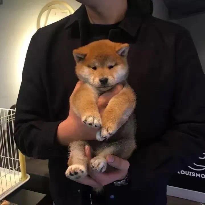 留白