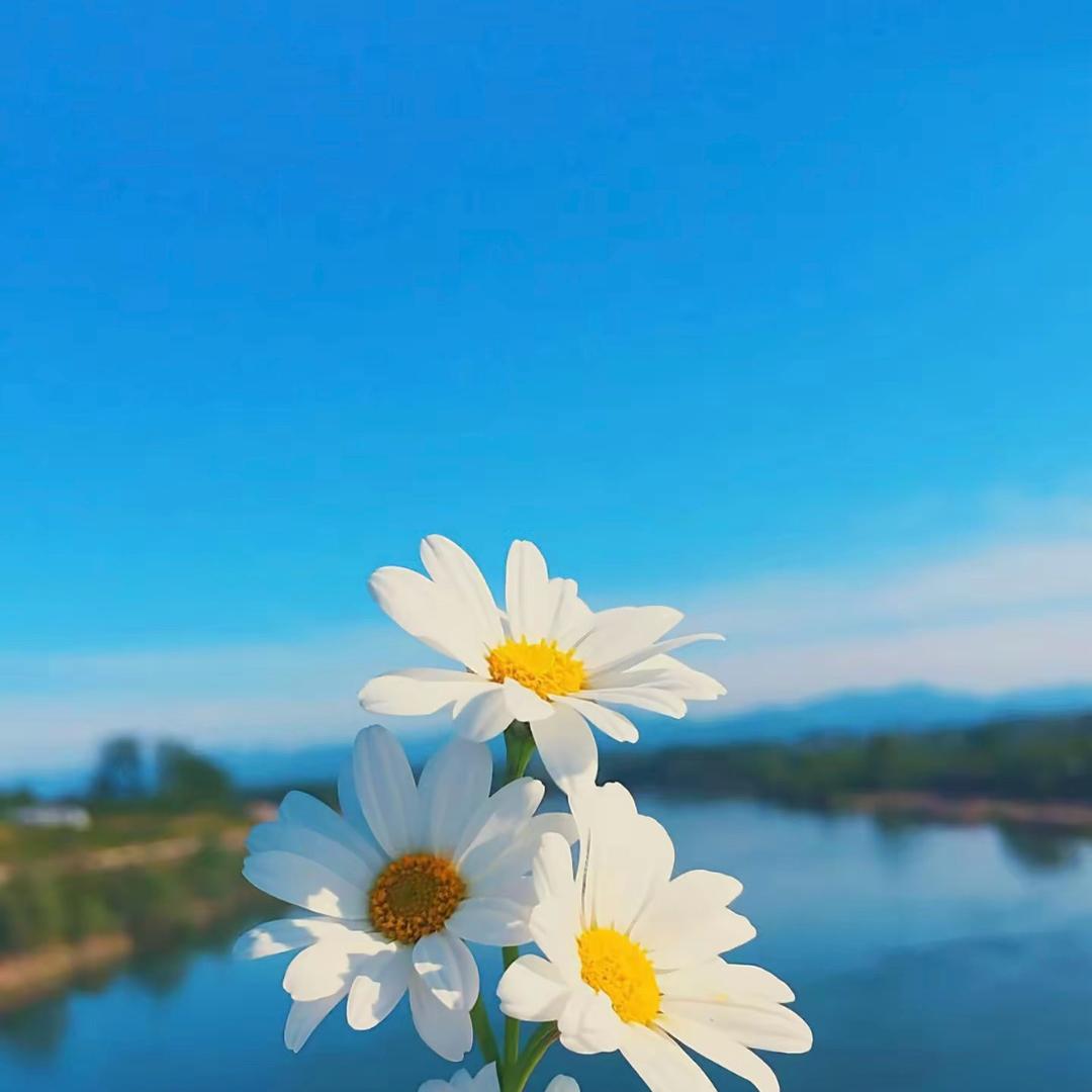 简单温暖
