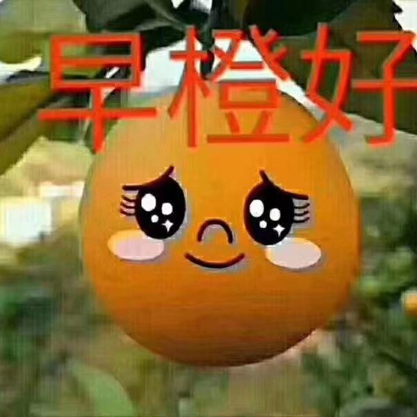 荡漾的心❤️