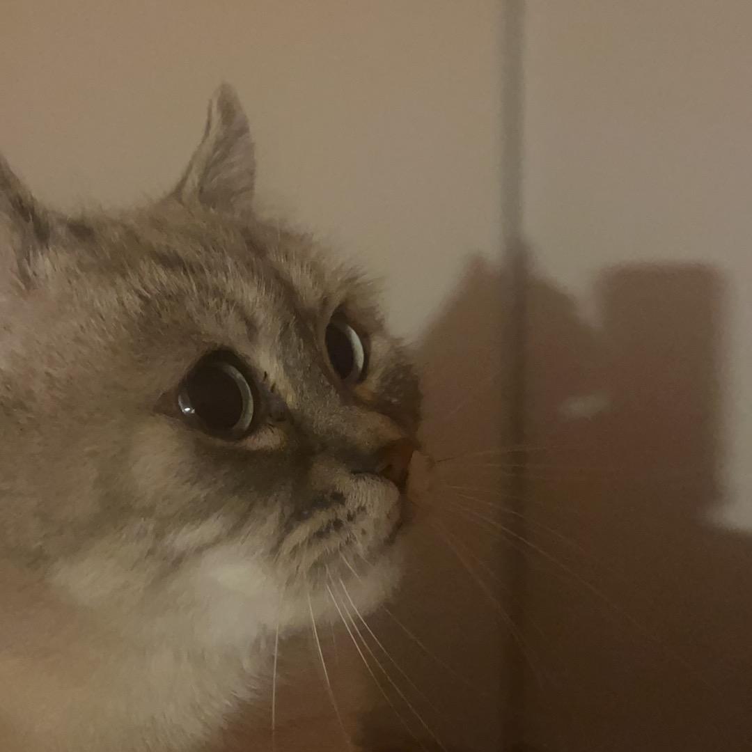 🌈7⃣️0⃣️后