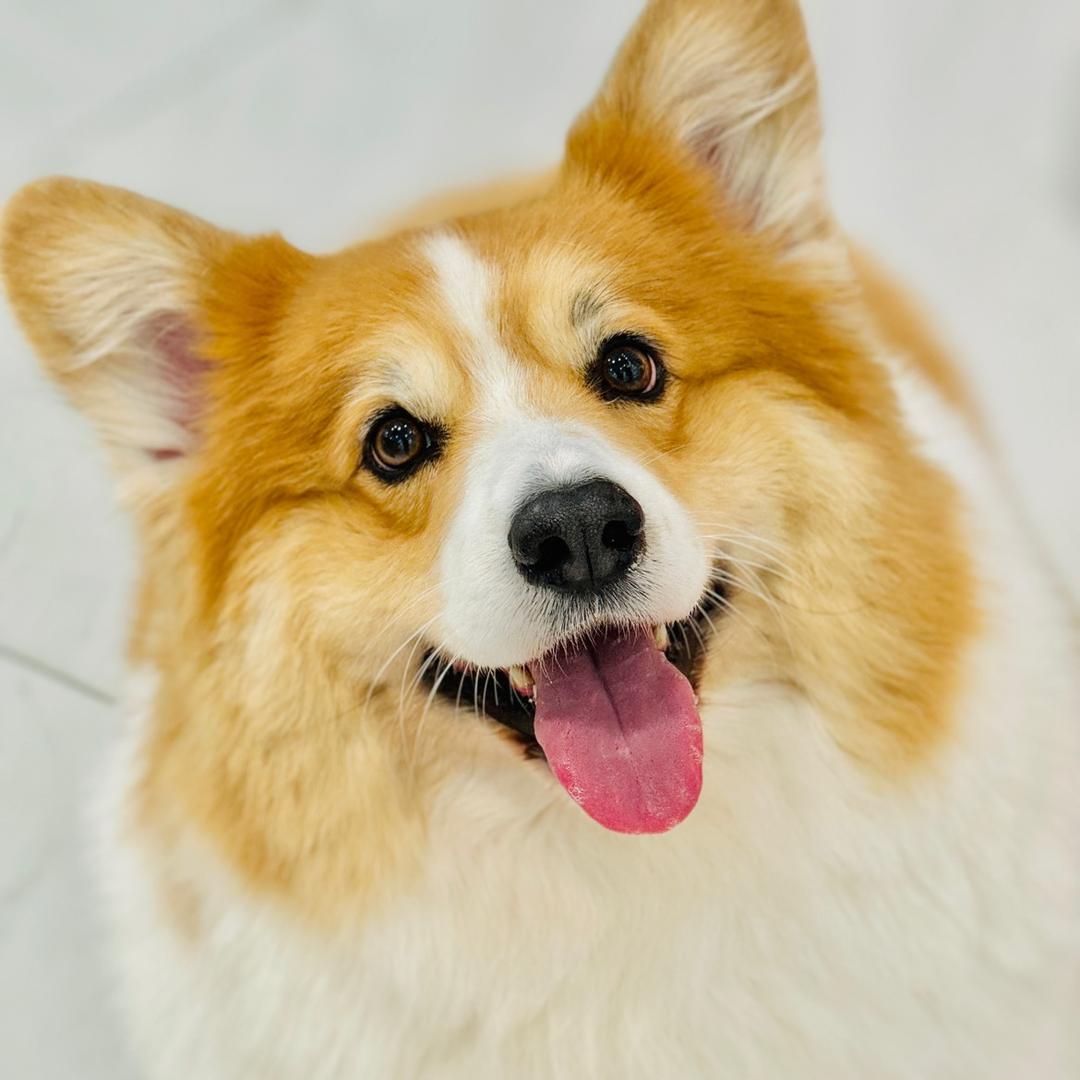 公基小发财
