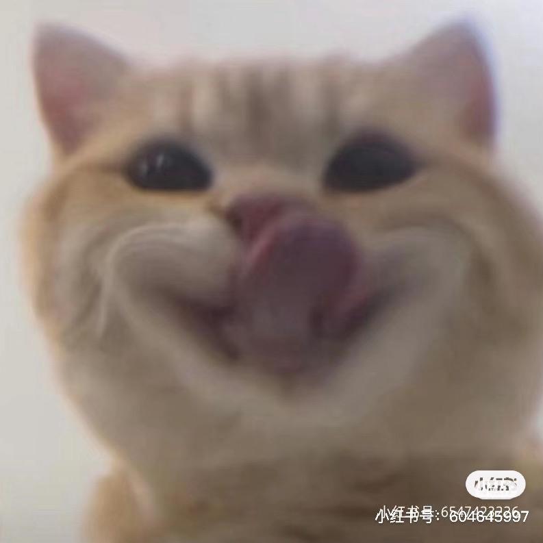 幸子_