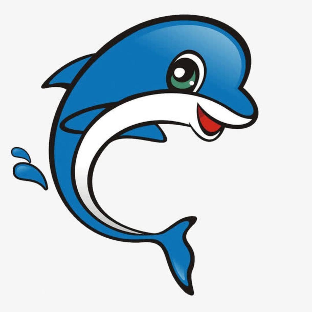 金兰海豚