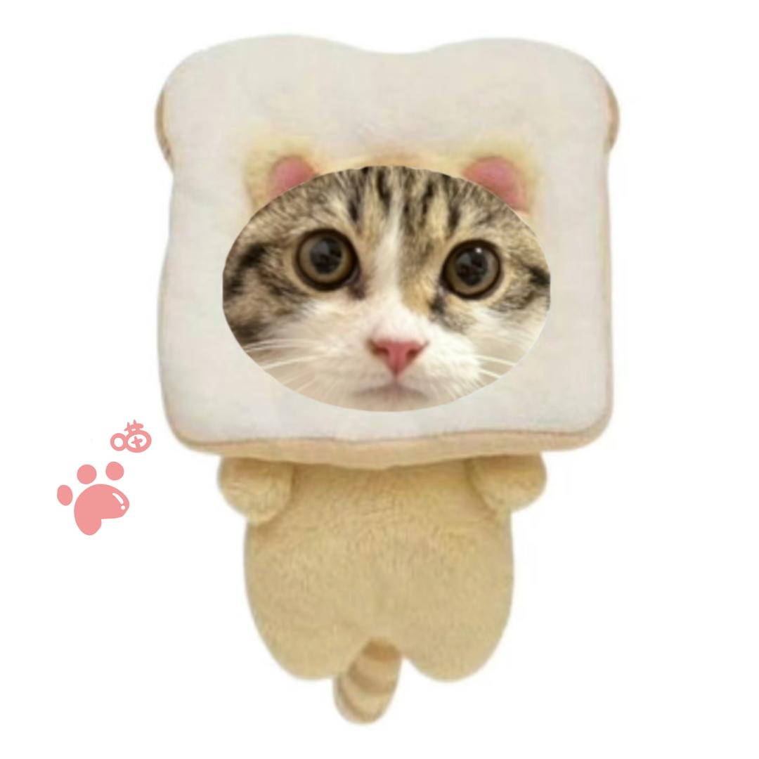 运气爆棚的土豆(发疯版)