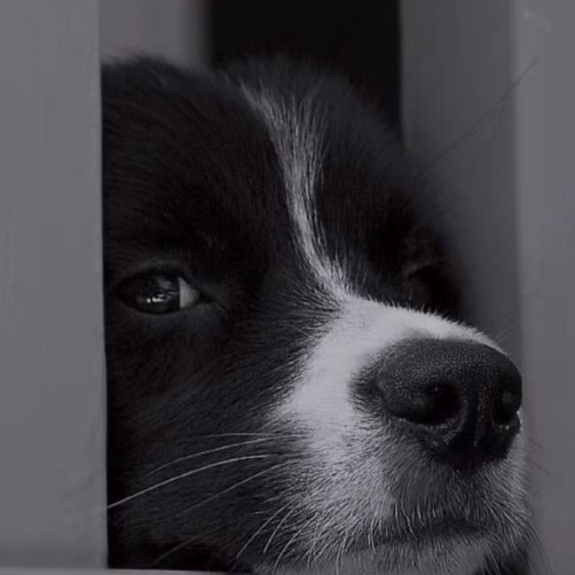 减负茶局.天乔250.47