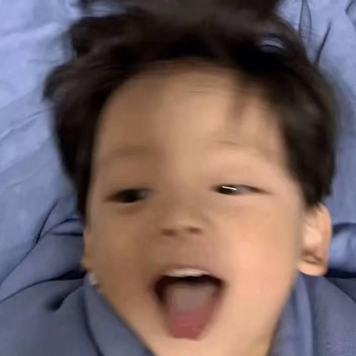 理想型的灰太狼.