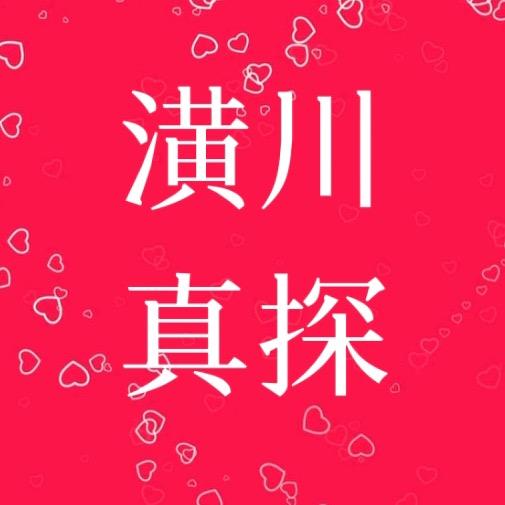 潢川真探