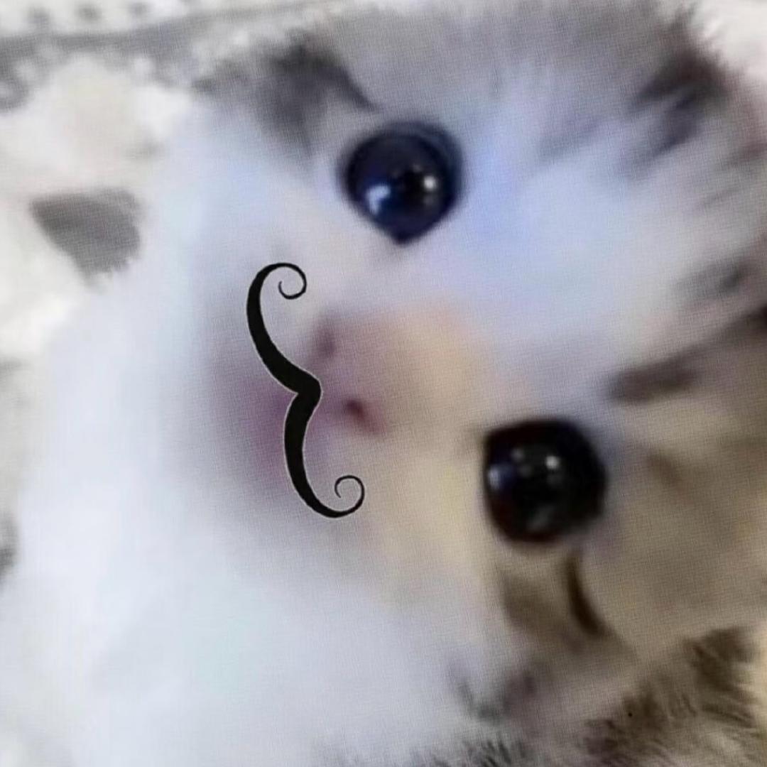 Y🐯