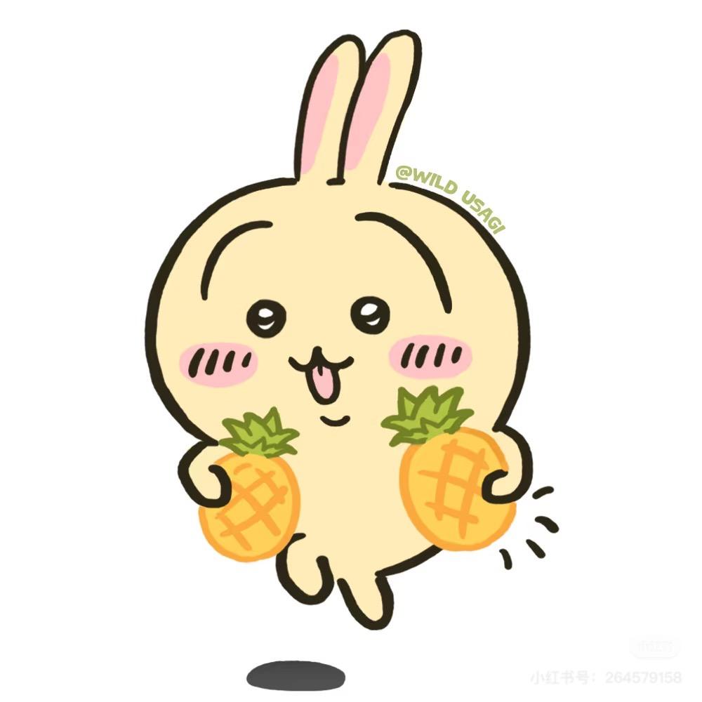 菠萝公主